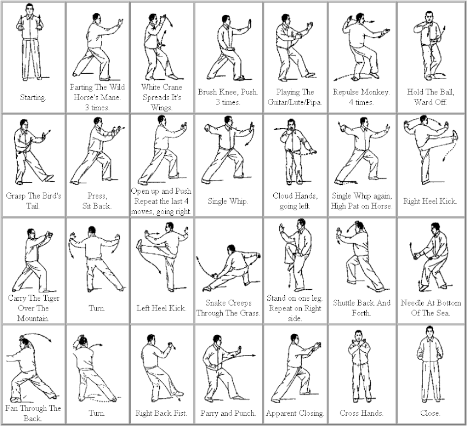 A Beginners Guide to the Tai Chi Short Form – Styles, Moves, and How to ...